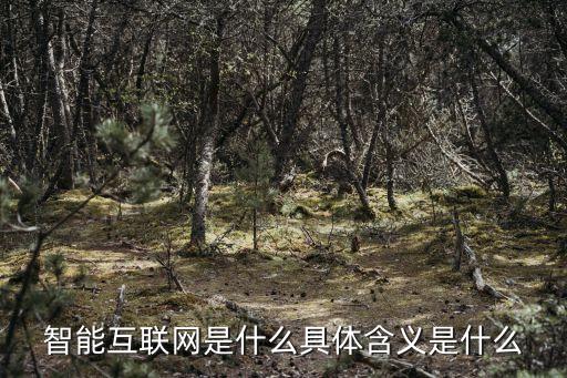 智能互聯(lián)網(wǎng)是什么具體含義是什么