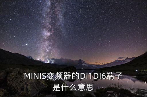 端子是什么，MINIS變頻器的DI1DI6端子是什么意思