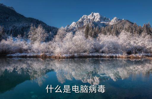 什么是電腦病毒