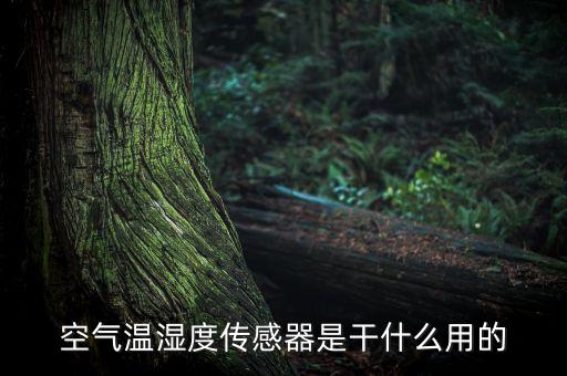 溫濕度傳感器，空氣溫濕度傳感器是干什么用的