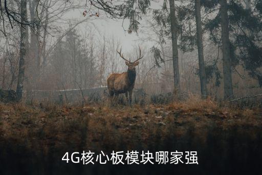 4G核心板模塊哪家強(qiáng)