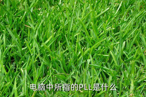 電腦中所指的PLL是什么
