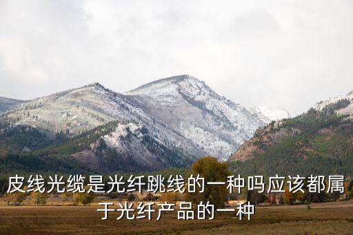 皮線光纜，皮線光纜和正常網(wǎng)線的區(qū)別是什么各有什么優(yōu)缺點(diǎn)