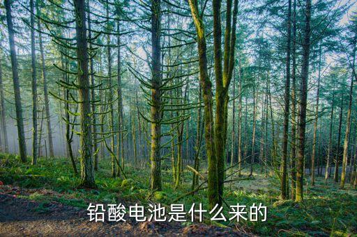 鉛酸電池是什么來(lái)的