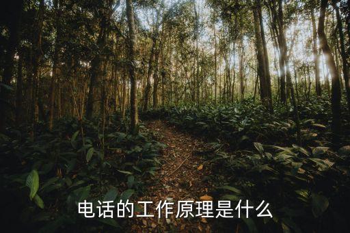 電話原理，電話的工作原理是什么