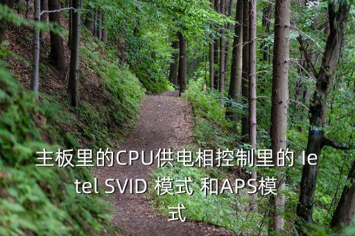 主板里的CPU供電相控制里的 Ietel SVID 模式 和APS模式