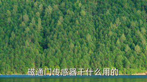 磁通門傳感器，磁通門傳感器干什么用的