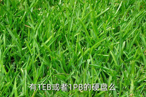 有1EB或者1PB的硬盤么