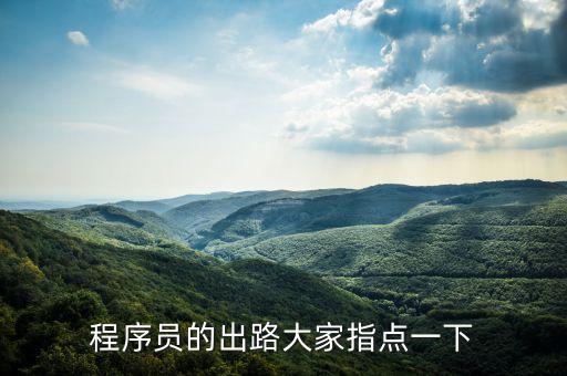 程序員的出路大家指點(diǎn)一下