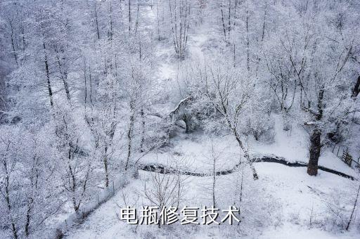 電瓶修復(fù)技術(shù)