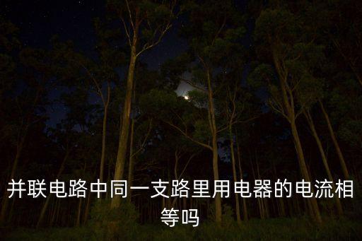 并聯(lián)電路中同一支路里用電器的電流相等嗎