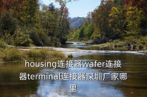 wafer連接器，請給wafer連接器下個簡短的定義重謝