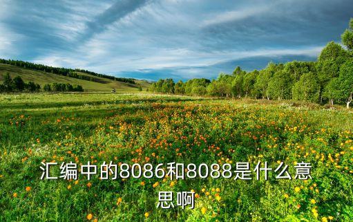 匯編中的8086和8088是什么意思啊