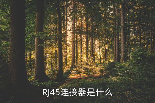 RJ45連接器是什么