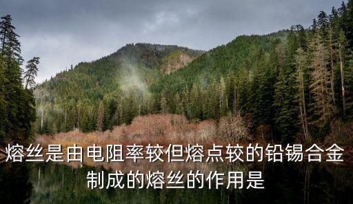熔絲是由電阻率較但熔點(diǎn)較的鉛錫合金制成的熔絲的作用是