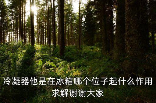冷凝器他是在冰箱哪個(gè)位子起什么作用求解謝謝大家