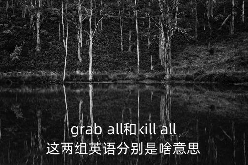 grab all和kill all這兩組英語分別是啥意思