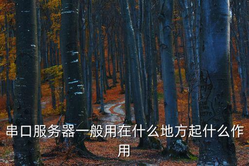 串口服務(wù)器一般用在什么地方起什么作用