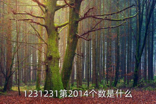 1231231第2014個數(shù)是什么