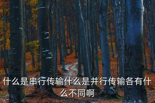 什么是串行傳輸什么是并行傳輸各有什么不同啊