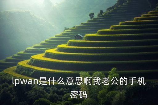 lpwan是什么意思啊我老公的手機(jī)密碼