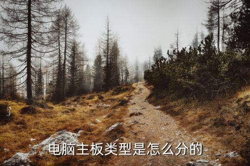 電腦主板類型是怎么分的
