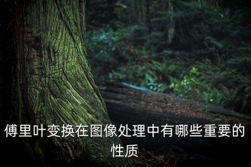 傅里葉變換在圖像處理中有哪些重要的性質(zhì)