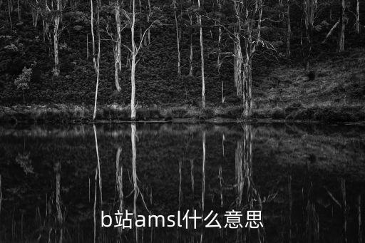 amsl，b站amsl什么意思