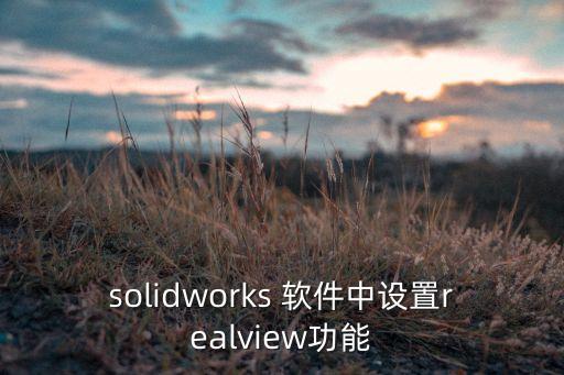 solidworks 軟件中設置realview功能