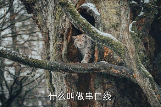 什么叫做串口線