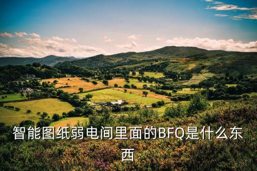 智能圖紙弱電間里面的BFQ是什么東西