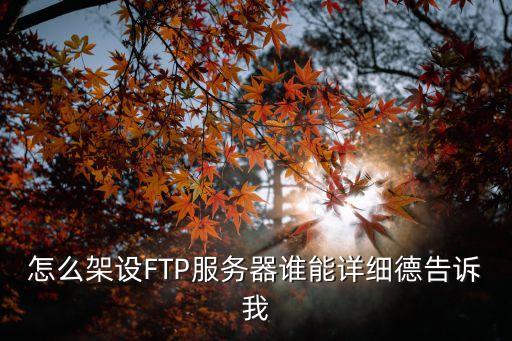 搭建ftp服務(wù)器，怎么架設(shè)FTP服務(wù)器誰能詳細(xì)德告訴我