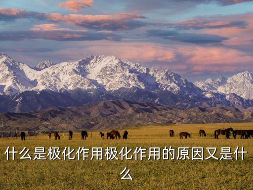 什么是極化作用極化作用的原因又是什么