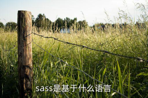 S語言，請問各位誰知道什么是S語言