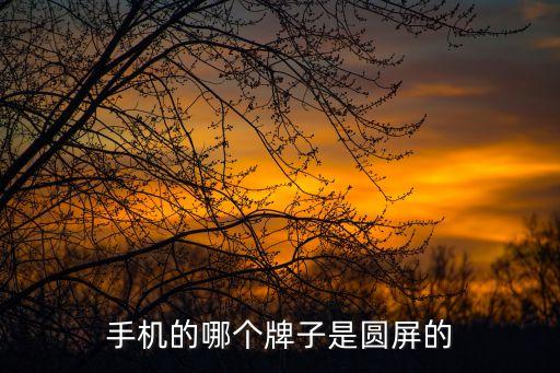 圓形屏，電腦顯示器有圓形的嗎