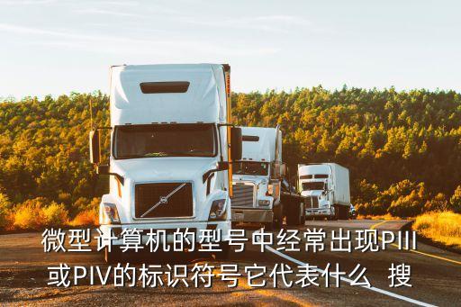 微型計(jì)算機(jī)的型號(hào)中經(jīng)常出現(xiàn)PIII或PIV的標(biāo)識(shí)符號(hào)它代表什么  搜