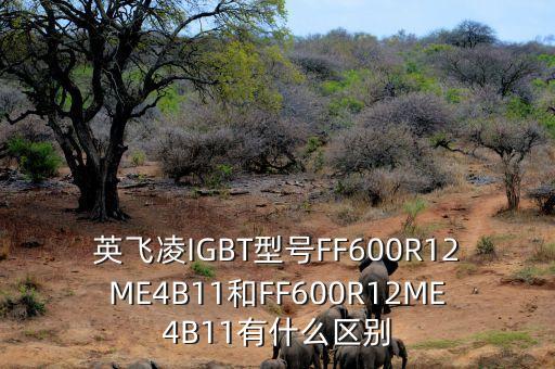 英飛凌IGBT型號FF600R12ME4B11和FF600R12ME4B11有什么區(qū)別