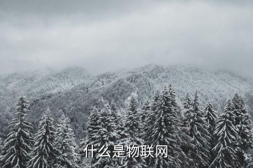 什么是物聯(lián)網(wǎng)
