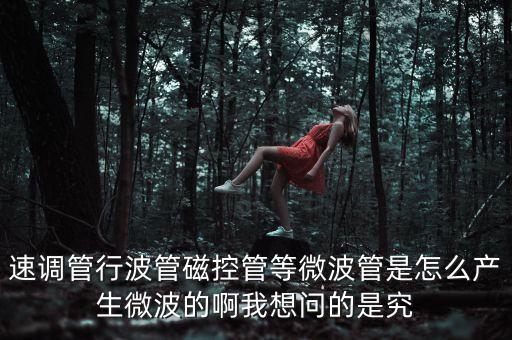 速調(diào)管行波管磁控管等微波管是怎么產(chǎn)生微波的啊我想問的是究