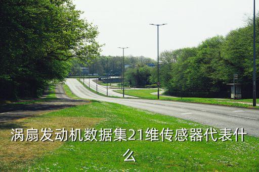 渦扇21，渦扇11型航空發(fā)動機(jī)