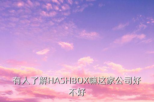 有人了解HASHBOX嘛這家公司好不好