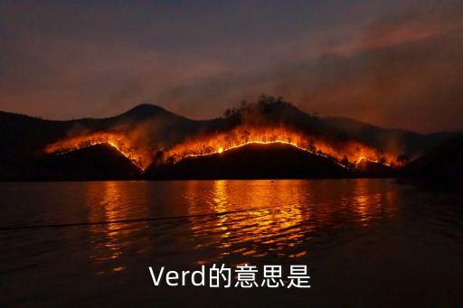 verd，西語的單個(gè)r怎么說比如說verd這里面的r怎么說