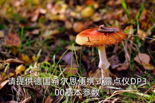 請?zhí)峁┑聡査急銛y式露點(diǎn)儀DP300基本參數(shù)