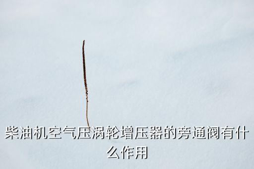 柴油機(jī)空氣壓渦輪增壓器的旁通閥有什么作用