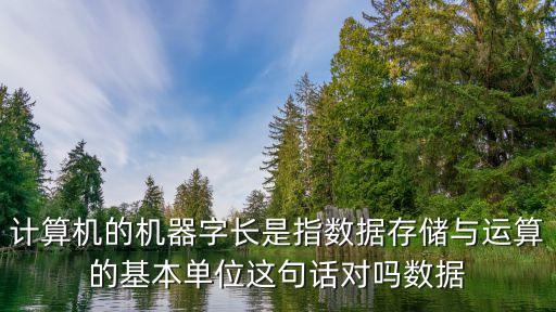 計(jì)算機(jī)的機(jī)器字長(zhǎng)是指數(shù)據(jù)存儲(chǔ)與運(yùn)算的基本單位這句話對(duì)嗎數(shù)據(jù)