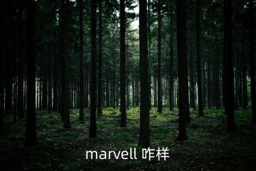 marvell，marvell是公司名稱嗎生產(chǎn)什么的