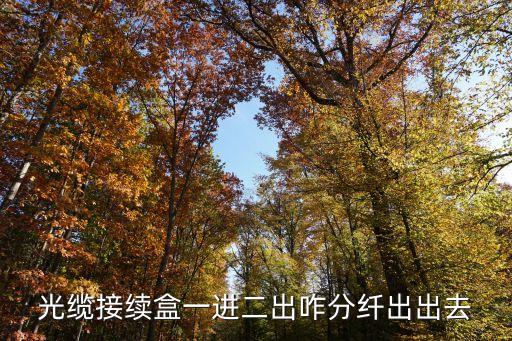 光纜接續(xù)盒，光纖接續(xù)盒與光纖配線架有多大區(qū)別