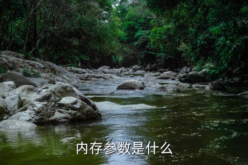 內(nèi)存參數(shù)，內(nèi)存參數(shù)是什么