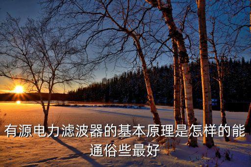 有源電力濾波器，有源濾波器的介紹