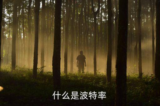 什么是波特率